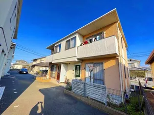 ディアス中嶋Bの画像