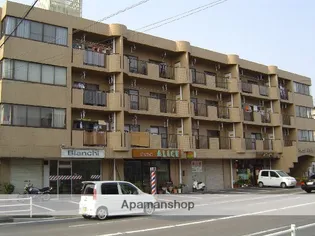 エクセル野田の画像