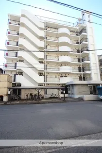 アンバサダー豊栄の画像