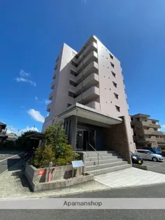 ホワイトライトの画像