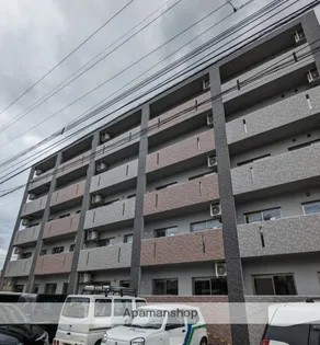 GRACIA新貝の画像