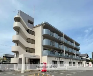 グレイス河村の画像