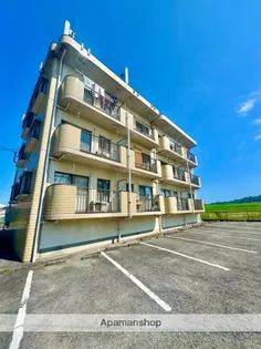 アスール52の画像