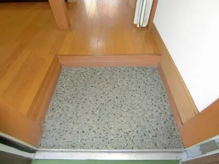 ロイヤルハイツ【205号室】の玄関