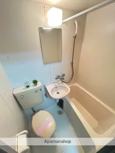 シティハイツ姫城 A・B【A16号室】の風呂