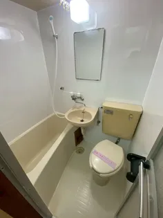 シティハイツ姫城 A・B【B25号室】の内装