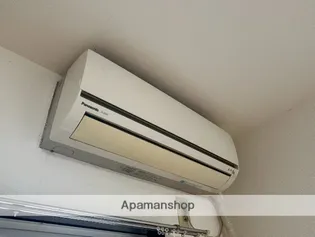 ダウンタウン益吉【206号室】の内装