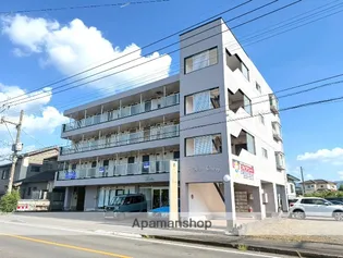 アピアコート【403号室】の外観