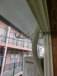 ガーデンTNⅡ【2階】の内装