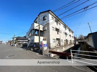 CORPO PEACEの画像