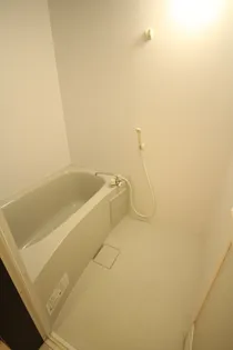 アッシュヒルズⅡ【102号室】の風呂