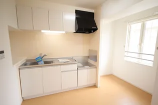 ロード早水 Ⅱ【2階】のキッチン