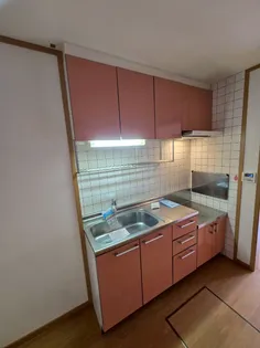 ヌーベル・オーブA【1階】のキッチン