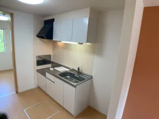 ゴールド・リッチ平江・Ⅰ【1階】のキッチン