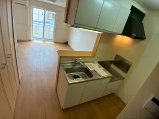 ガーデンコート C【1階】のキッチン