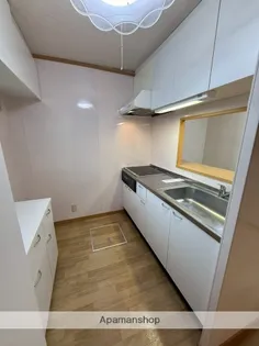 第1年見マンション【1階】の内装