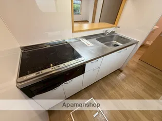 第1年見マンション【1階】の内装