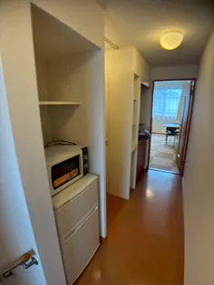 レオパレスプルメリアⅡ【206号室】の内装