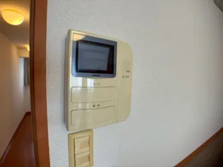 レオパレスプルメリアⅡ【206号室】の内装