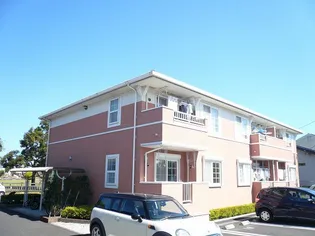 ロング シーダー Mの画像