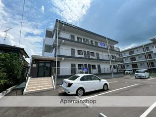 BUNAO FORTUNAの画像