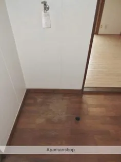 コーポ泉【205号室】の内装