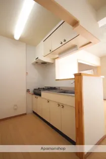 ネオハイツ宮丸【101号室】のキッチン