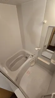 リオ・ラド・パティオ B【1階】の風呂