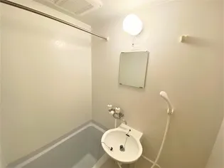 レオパレスMOON【202号室】の風呂