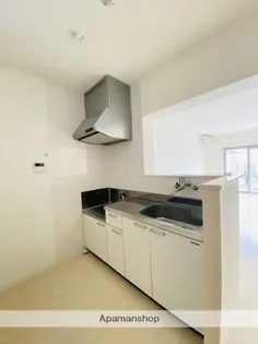 LIEN MON COEUR【3階】のキッチン