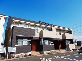 サンセベリアAの画像