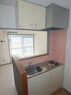 セレニティ川添A棟【306号室】のキッチン