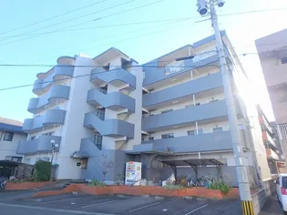 第11シャトーモリオカの画像