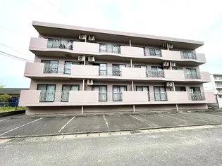 ルアナエステート正手の画像