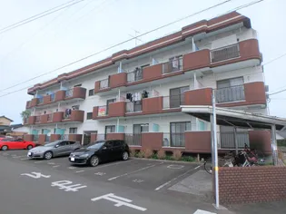 後藤マンション【206号室】の外観