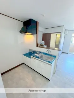 第1ピノキオコーポ東【1階】のキッチン