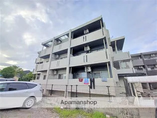 デタント中村の画像