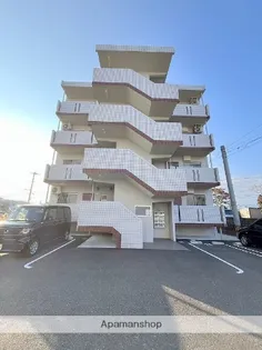 MADRE関谷 光の画像