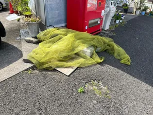 イーストコスモビル【306号室】のその他画像