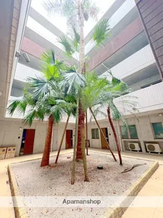 アルテマイスター谷川【2階】の外観