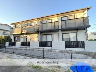 パイングローブIIの画像