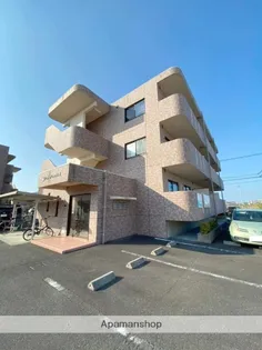 チェリーブロッサムIIの画像