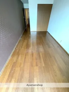 平成企画コーポ【301号室】の内装