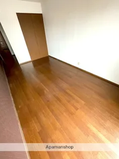 平成企画コーポ【301号室】の内装