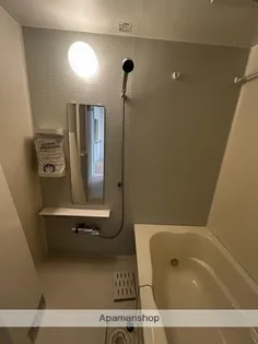 アルカディア祇園Ⅱ【1階】の風呂