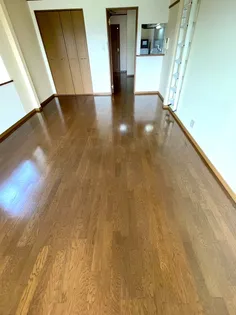 パルケ エスパーニャ【D204号室】の内装