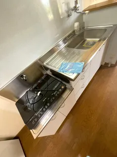 パルケ エスパーニャ【D204号室】の内装