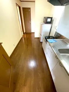 パルケ エスパーニャ【D204号室】の内装