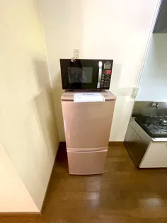 パルケ エスパーニャ【D204号室】の内装