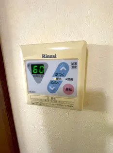 パルケ エスパーニャ【D204号室】の内装